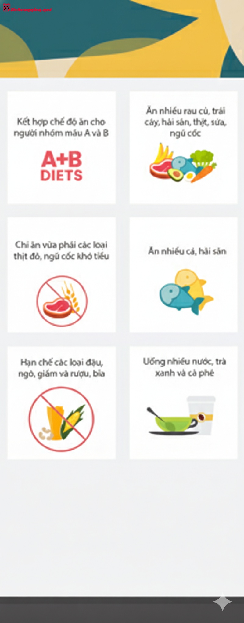 Giải m&atilde; Bảo B&igrave;nh nh&oacute;m m&aacute;u AB: Sự giao thoa giữa tr&iacute; tuệ độc bản v&agrave; tư duy l&yacute; tr&iacute;