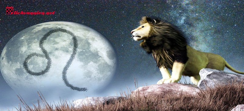 Giải m&atilde; 3 Decan của cung Sư Tử: Bạn l&agrave; phi&ecirc;n bản n&agrave;o?