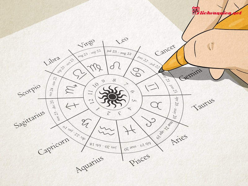 Placidus v&agrave; Whole Sign: Giải m&atilde; sự kh&aacute;c biệt trong hệ thống ph&acirc;n chia Cung nh&agrave;