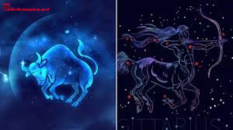 Chinh phục tr&aacute;i tim tự do: C&aacute;ch thu h&uacute;t cung Nh&acirc;n M&atilde;