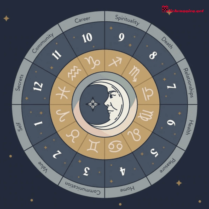 Chiêm tinh học và sức khỏe: Giải mã mối liên hệ giữa vũ trụ và cơ thể bạn