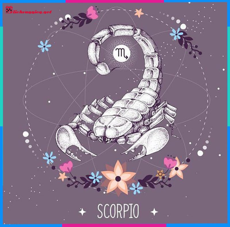 Giải m&atilde; Cung Mọc Bọ Cạp kết hợp 12 Cung Mặt Trời: Khi vẻ ngo&agrave;i b&iacute; ẩn che giấu bản ng&atilde;