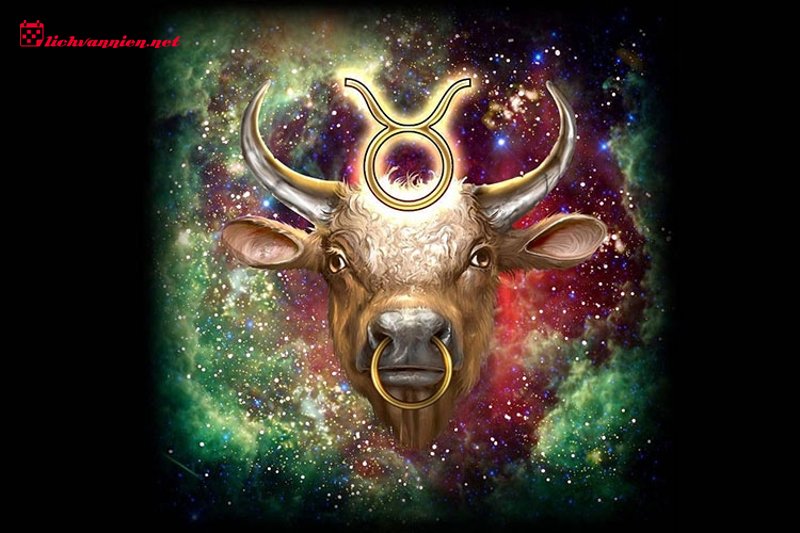 Cung Mọc Kim Ngưu: Vẻ Đẹp Của Sự Điềm Tĩnh V&agrave; Ki&ecirc;n Định