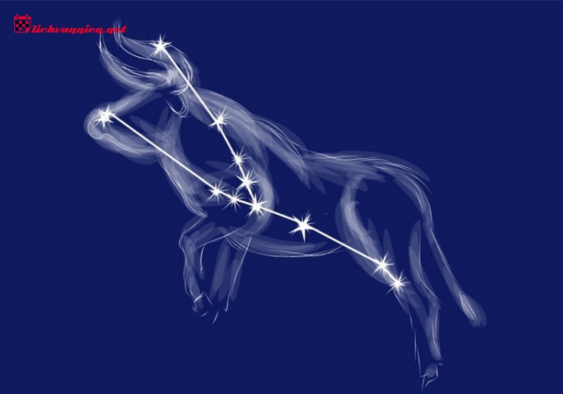 Cung Mọc Kim Ngưu: Vẻ Đẹp Của Sự Điềm Tĩnh V&agrave; Ki&ecirc;n Định