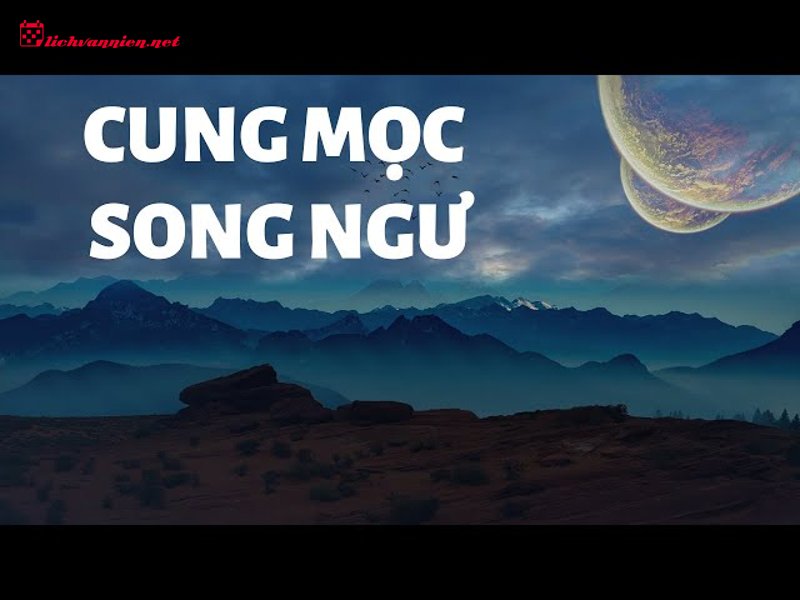 Cung Mọc Song Ngư: Ch&acirc;n Dung Kẻ Mộng Mơ Với Đ&ocirc;i Mắt Biết N&oacute;i