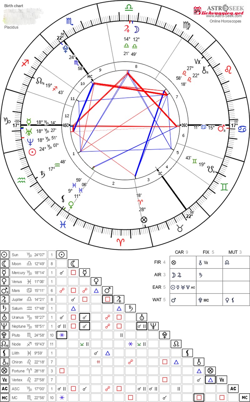 Cung Nh&agrave; 11 trong Chi&ecirc;m tinh học: Mạng lưới X&atilde; hội, Kh&aacute;t vọng v&agrave; Ph&uacute;c lợi