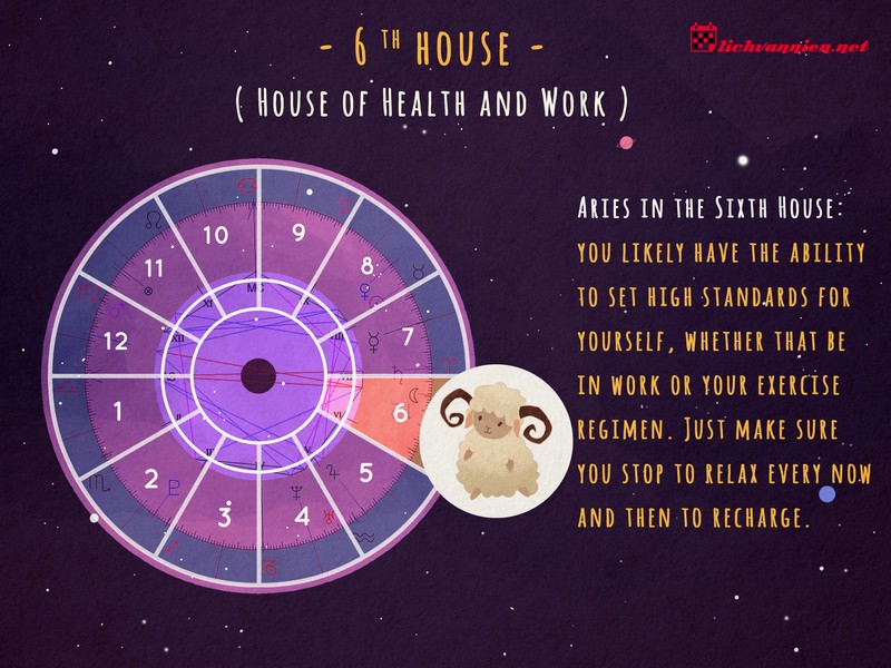 Cung Nhà 6 trong Chiêm tinh: Nền tảng của Sức khỏe và Sự Phụng sự