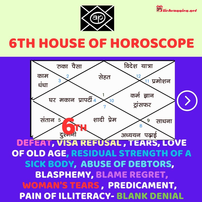 Cung Nhà 6 trong Chiêm tinh: Nền tảng của Sức khỏe và Sự Phụng sự