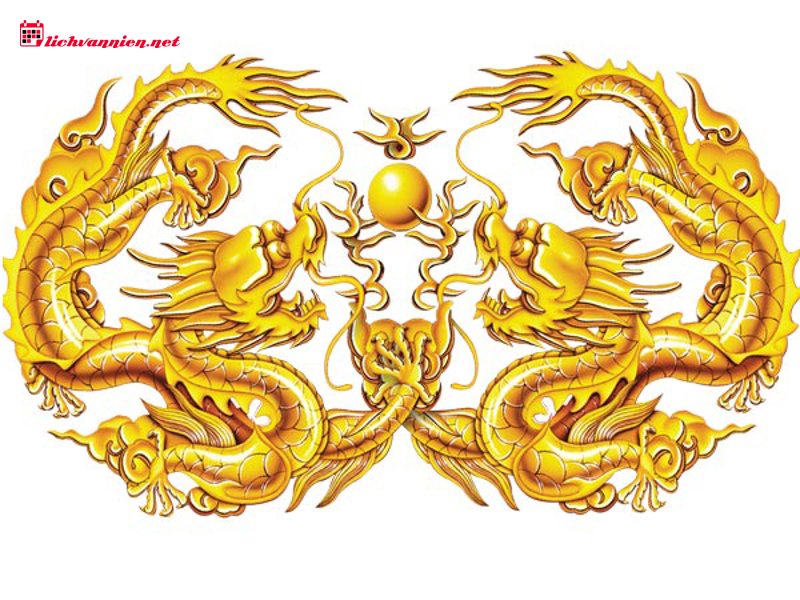 Bí mật về Đầu Rồng và Đuôi Rồng: Giải mã nghiệp quả trong Bản đồ sao