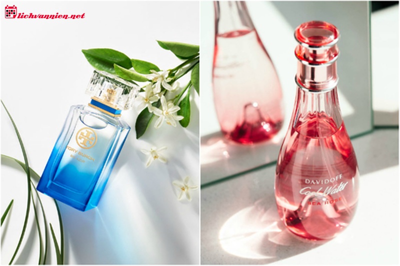 Nghệ thuật chọn nước hoa cho cung Bảo B&igrave;nh: Bản tuy&ecirc;n ng&ocirc;n của sự tự do