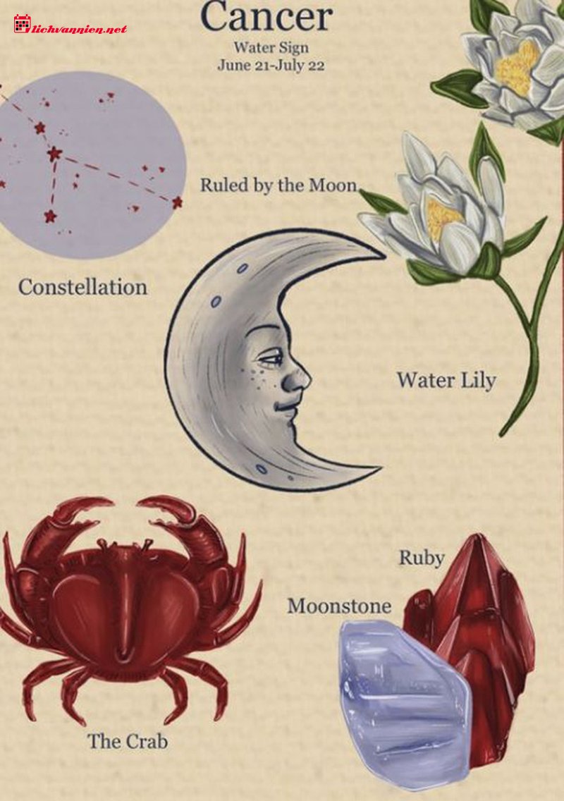 Mặt Trăng Cự Giải: Khi Cảm X&uacute;c T&igrave;m Về Ng&ocirc;i Nh&agrave; Tự Nhi&ecirc;n Của Sự Nu&ocirc;i Dưỡng