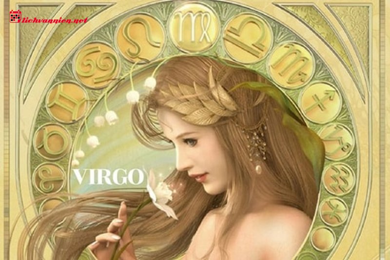 Giải m&atilde; Mặt Trời Bảo B&igrave;nh kết hợp với 12 Cung Mặt Trăng: Từ L&yacute; tr&iacute; đến Cảm x&uacute;c