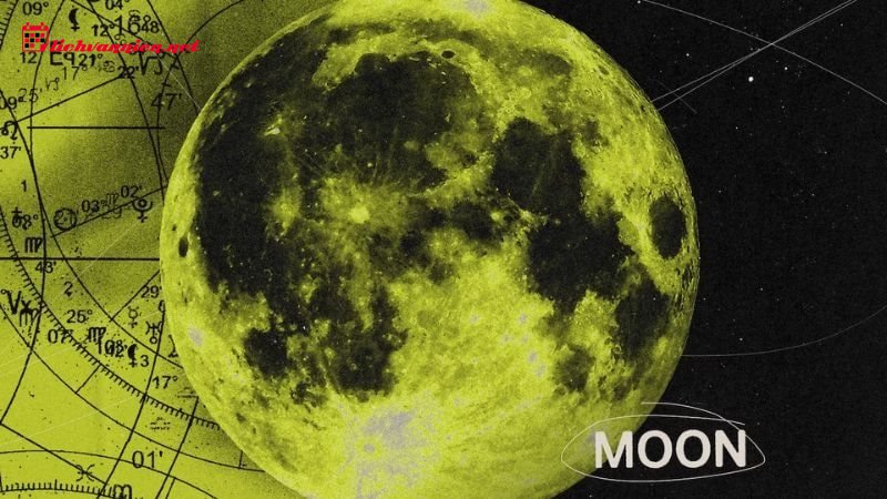 Sự Kh&aacute;c Biệt Giữa Cung Mặt Trời Song Ngư V&agrave; Cung Mọc Song Ngư: Từ Cốt L&otilde;i Đến Vẻ Ngo&agrave;i