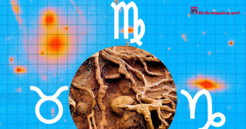 Sự tương hợp giữa Nguy&ecirc;n tố Đất v&agrave; Nguy&ecirc;n tố Đất trong chi&ecirc;m tinh học