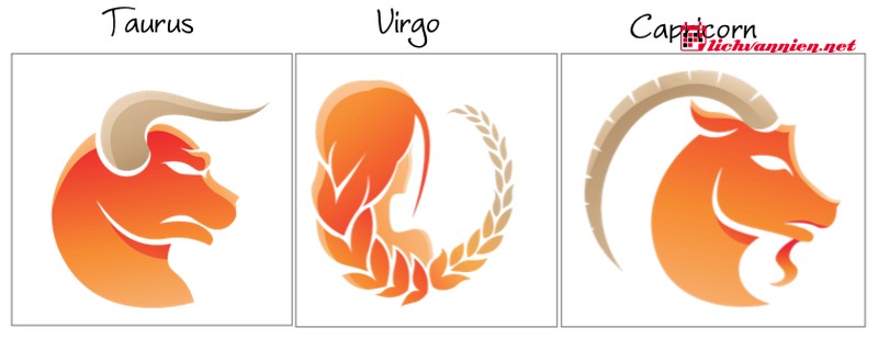 Sự tương hợp giữa Nguy&ecirc;n tố Nước v&agrave; Nguy&ecirc;n tố Đất: Nền tảng của sự kiến tạo bền vững