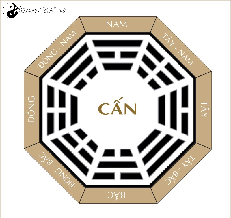 Cung Cấn L&agrave; G&igrave;? &Yacute; Nghĩa Của Cung Cấn Trong B&aacute;t Qu&aacute;i