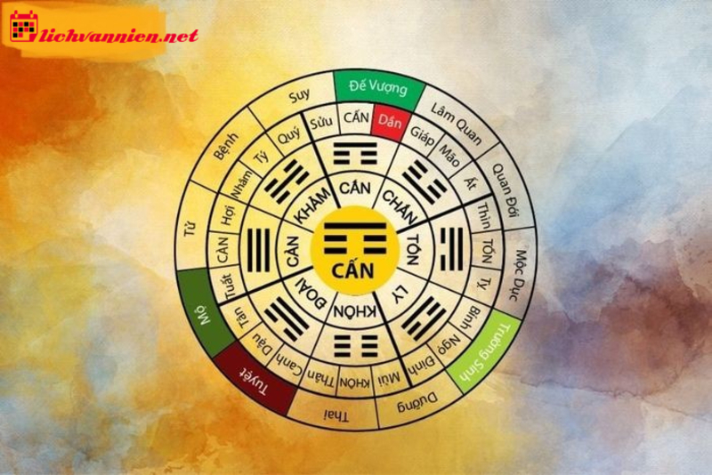 cung-can-1-20240925132420