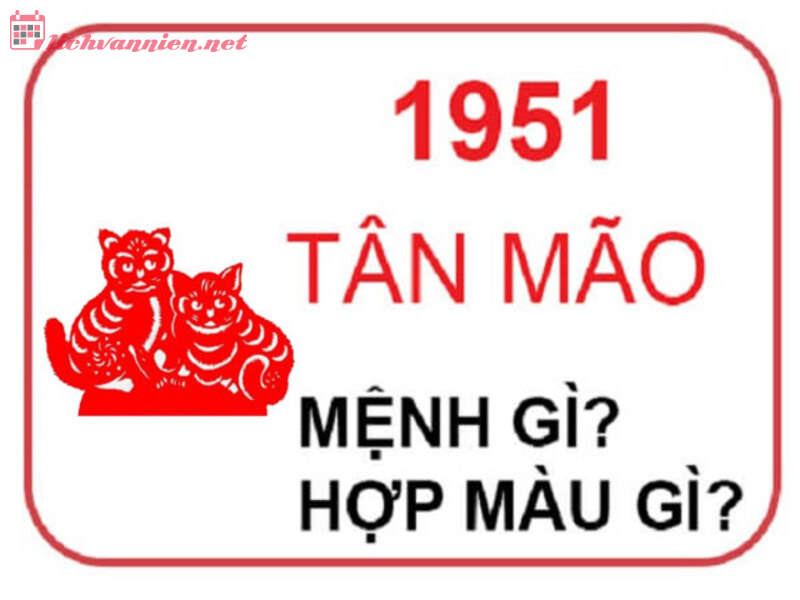 Sinh năm 1951 (Tân Mão) hợp màu gì? Bí quyết chọn màu phong thủy giúp cân bằng năng lượng và tài lộc