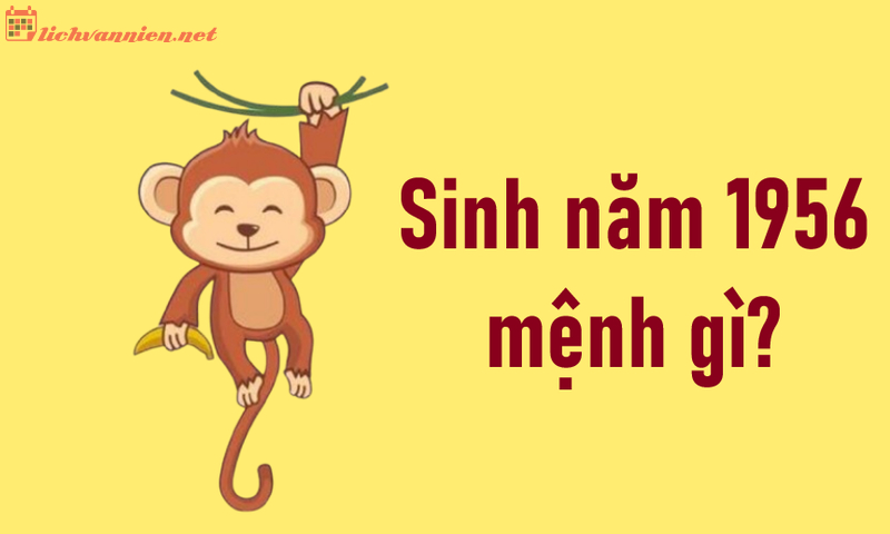 Sinh Năm 1956 Bính Thân Mệnh Gì? Hợp Tuổi Gì? Hướng Nào Tốt?