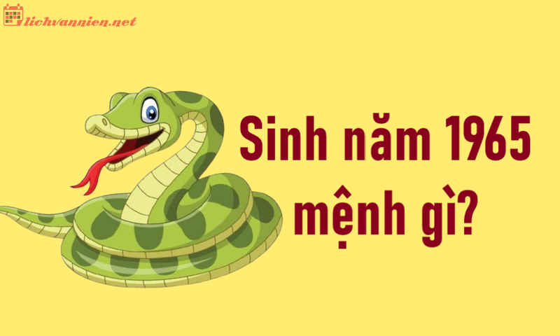 Sinh Năm 1965 Ất Tỵ Mệnh Gì? Hợp Tuổi Gì? Hướng Nào Tốt?