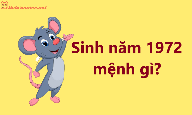 Sinh năm 1972 Nhâm Tý mệnh gì? Hợp tuổi gì? Hợp hướng nào?