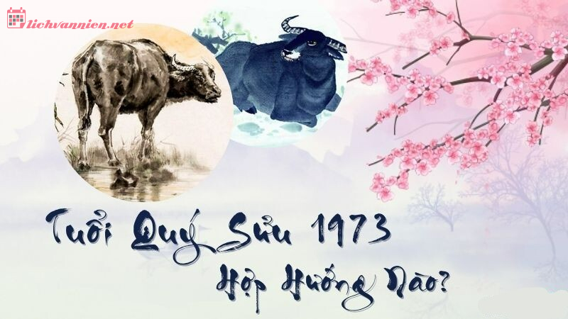 Khám Phá Hướng Nhà May Mắn Cho Người Sinh Năm 1973 (Quý Sửu) – Bí Quyết Mang Tài Lộc Đến Từng Cánh Cửa!