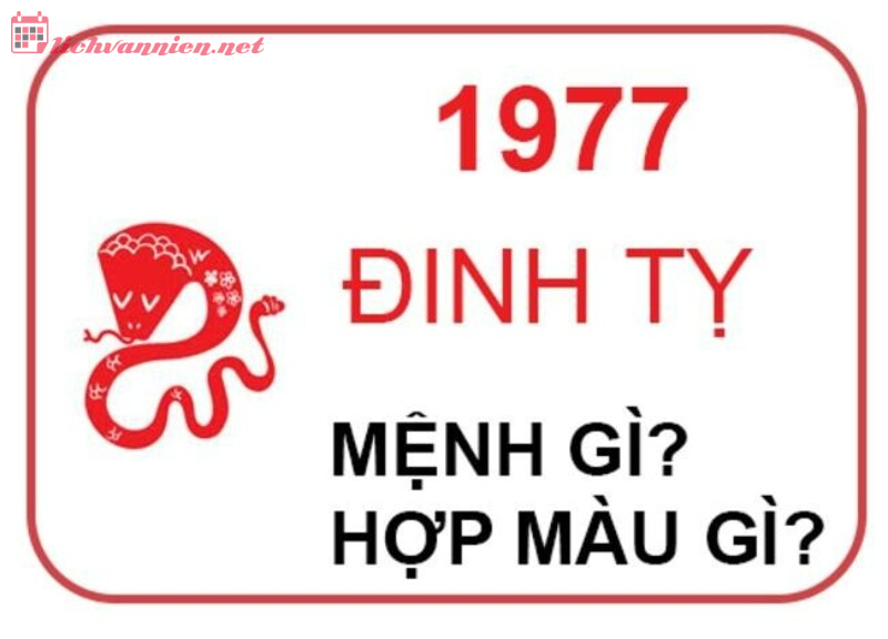 Khám Phá Bí Quyết Chọn Màu Hợp Mệnh Đinh Tỵ 1977 – Cách Thu Hút Tài Lộc Đầy Bất Ngờ!