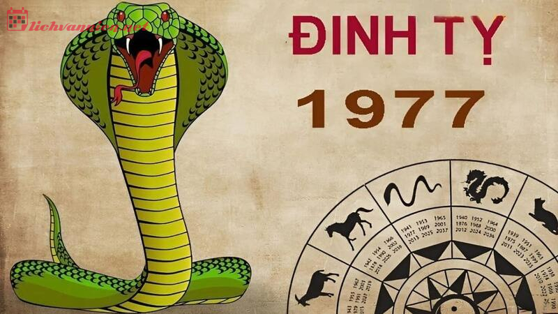 Sinh năm 1977 Đinh Tỵ mệnh gì? Hợp tuổi gì? Hợp hướng nào?