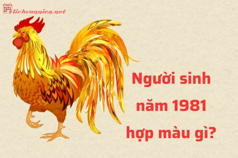 Khám Phá Bí Mật Màu Sắc Giúp Tân Dậu 1981 Gặp May Mắn Và Thịnh Vượng