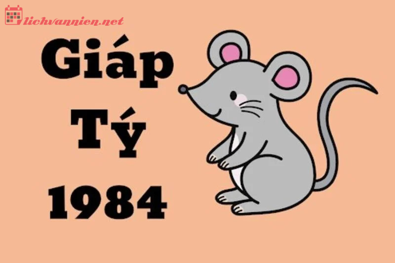 Sinh năm 1984 Giáp Tý mệnh gì? Hợp tuổi gì? Hợp hướng nào?