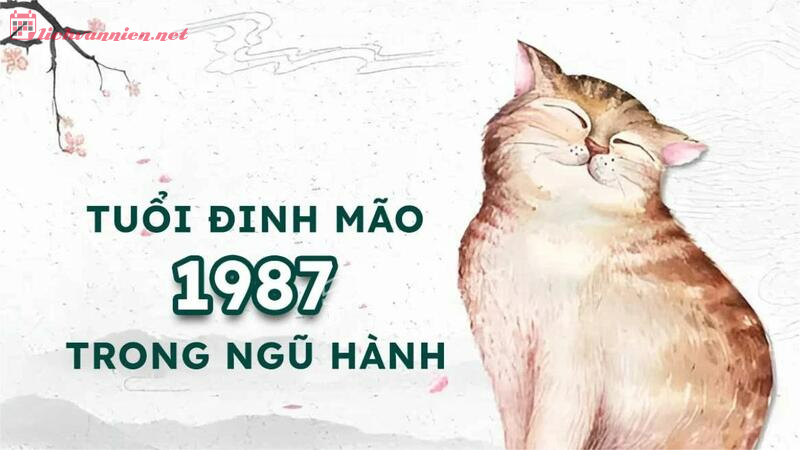 Sinh Năm 1987 Đinh Mão Mệnh Gì? Hợp Tuổi Gì? Hướng Nào Tốt?