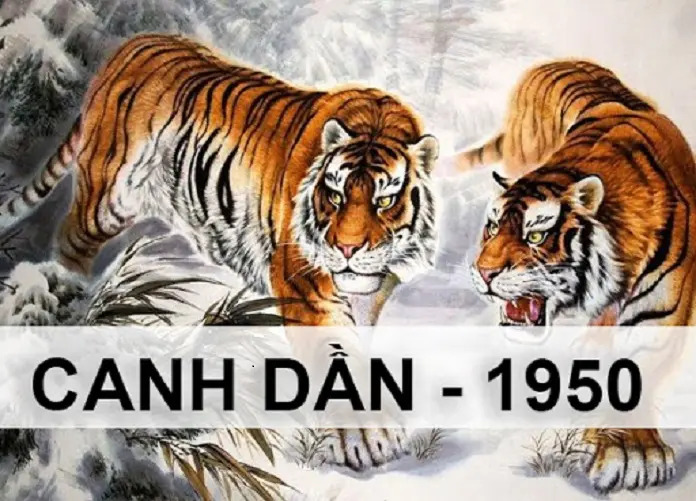 Sinh Năm 1950 Canh Dần Mệnh Gì? Hợp Tuổi Gì? Hướng Nào Tốt?