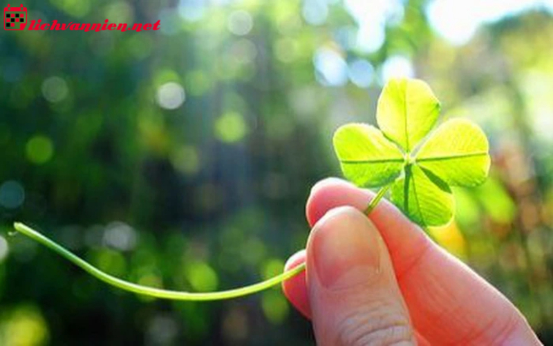 Những Điều N&ecirc;n L&agrave;m Cuối Năm Để Thu H&uacute;t May Mắn V&agrave; T&agrave;i Lộc