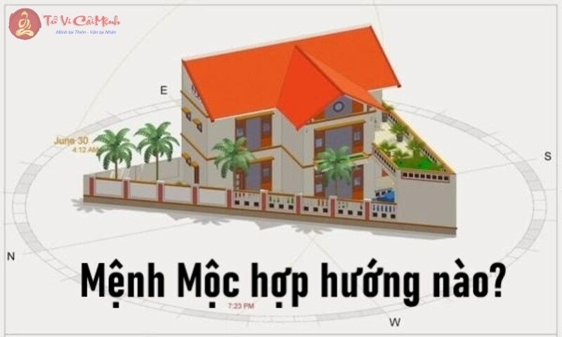 Mệnh Mộc hợp hướng nào để hưởng sinh khí, phát tài lộc, thịnh vượng?