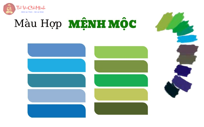 Mệnh Mộc hợp màu gì? Bí quyết chọn màu sắc phong thủy chuẩn xác cho người mệnh Mộc