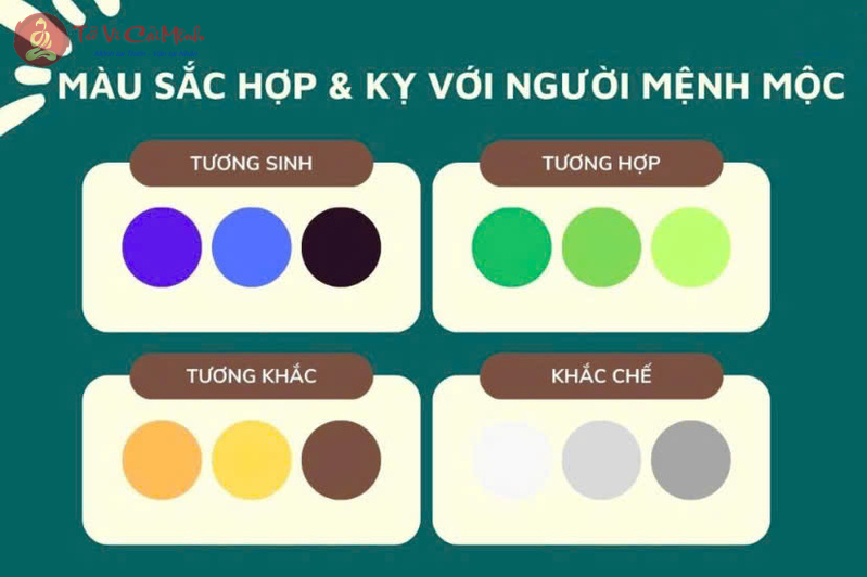 Mệnh Mộc hợp màu gì? Bí quyết chọn màu sắc phong thủy chuẩn xác cho người mệnh Mộc