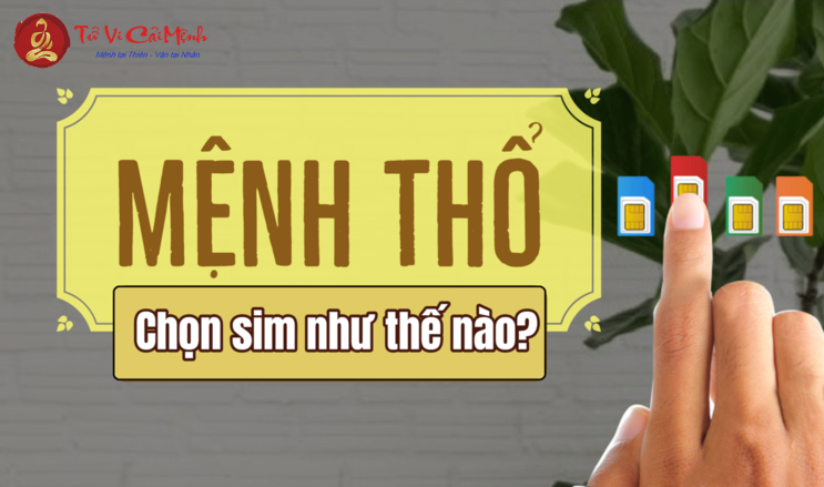 Mệnh Thổ hợp số mấy? Bí mật con số may mắn và cách chọn số hợp mệnh Thổ