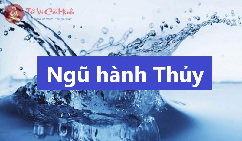 Hành Thủy Trong Ngũ Hành: Sức Mạnh Linh Hoạt Và Sự Cân Bằng Qua Phong Thủy