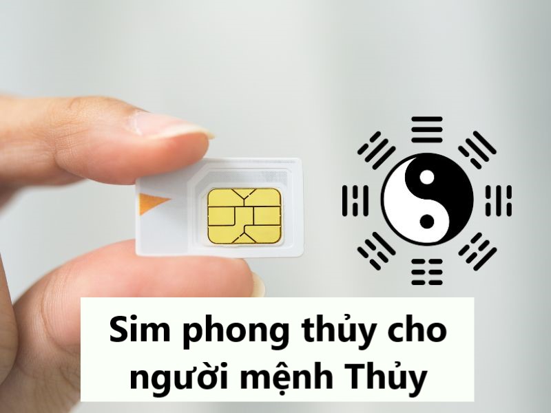 Mệnh Thủy hợp số gì? Con số may mắn cho người mệnh Thủy