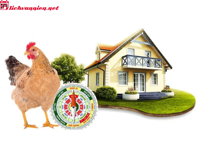 Hướng Nh&agrave; Hợp Phong Thủy Cho Người Tuổi Dậu &ndash; B&iacute; Quyết Thu H&uacute;t T&agrave;i Lộc V&agrave; B&igrave;nh An