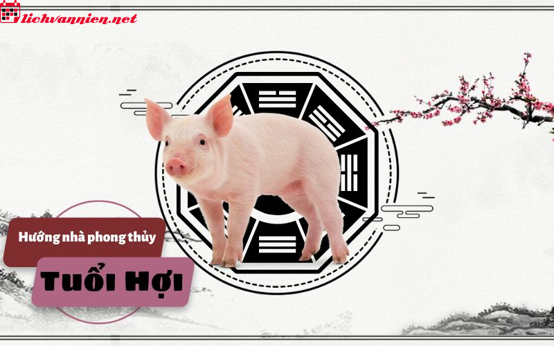 Hướng Nh&agrave; Hợp Phong Thủy Cho Người Tuổi Hợi - B&iacute; Quyết An Cư Lạc Nghiệp