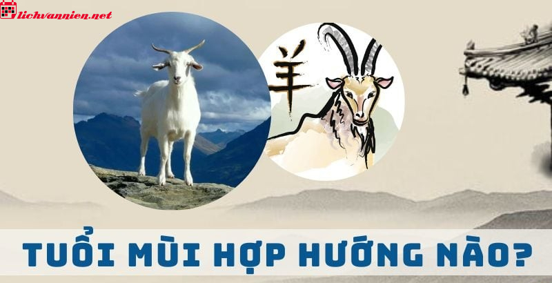 Hướng Nh&agrave; Hợp Phong Thủy Cho Người Tuổi M&ugrave;i - B&iacute; Quyết Chi&ecirc;u T&agrave;i Nạp Kh&iacute;