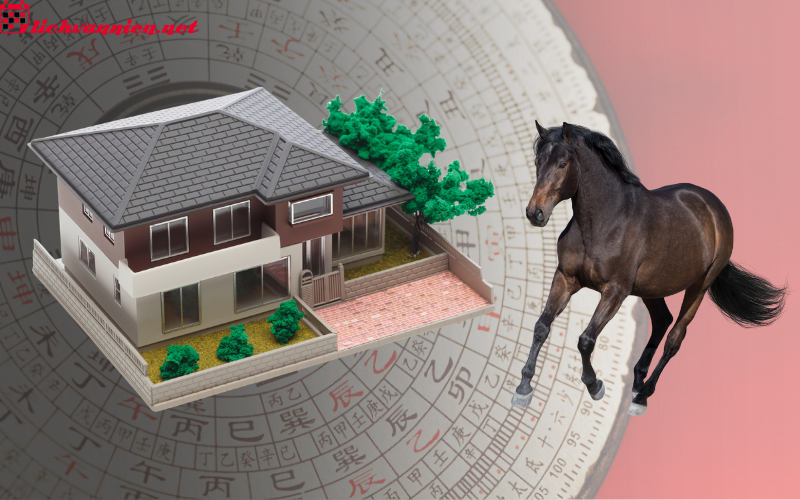 Hướng Nh&agrave; Hợp Phong Thủy Cho Người Tuổi Ngọ - Chọn Hướng C&aacute;t Tăng Vượng Kh&iacute;