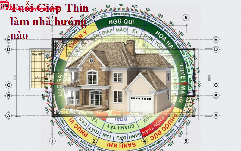 Bí Quyết Chọn Hướng Nhà Phù Hợp Với Người Tuổi Thìn Mang Lại Thịnh Vượng