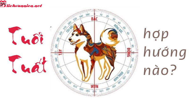 Hướng Nh&agrave; Hợp Phong Thuỷ Cho Người Tuổi Tuất &ndash; B&iacute; Quyết Chọn Hướng Vượng Kh&iacute;