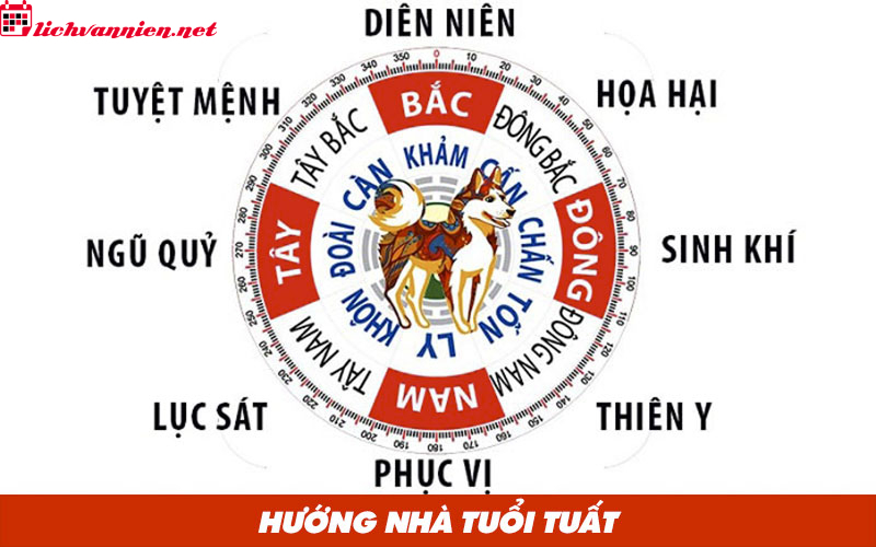 Hướng Nh&agrave; Hợp Phong Thuỷ Cho Người Tuổi Tuất &ndash; B&iacute; Quyết Chọn Hướng Vượng Kh&iacute;