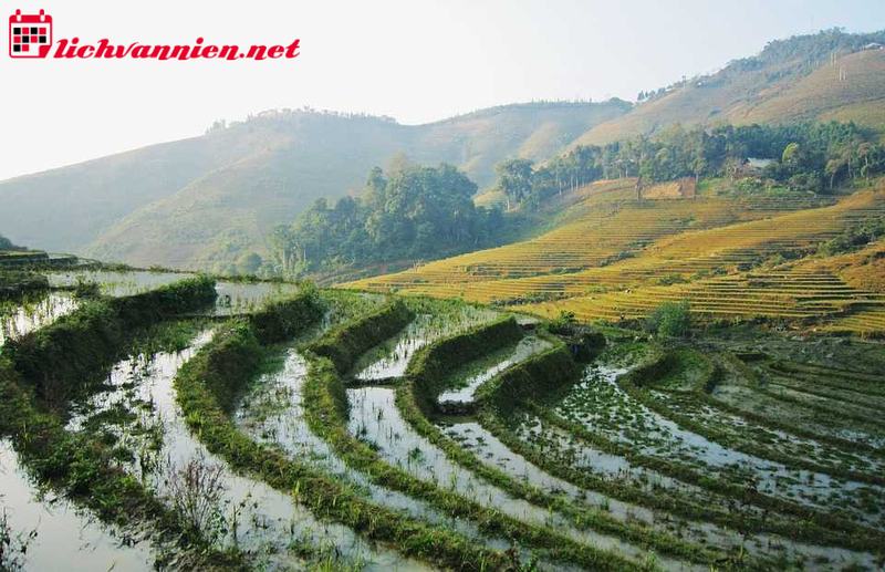 Khái Quát Về Tầm Long Điểm Huyệt: Nghệ Thuật Tìm Huyệt Cát Trong Phong Thủy