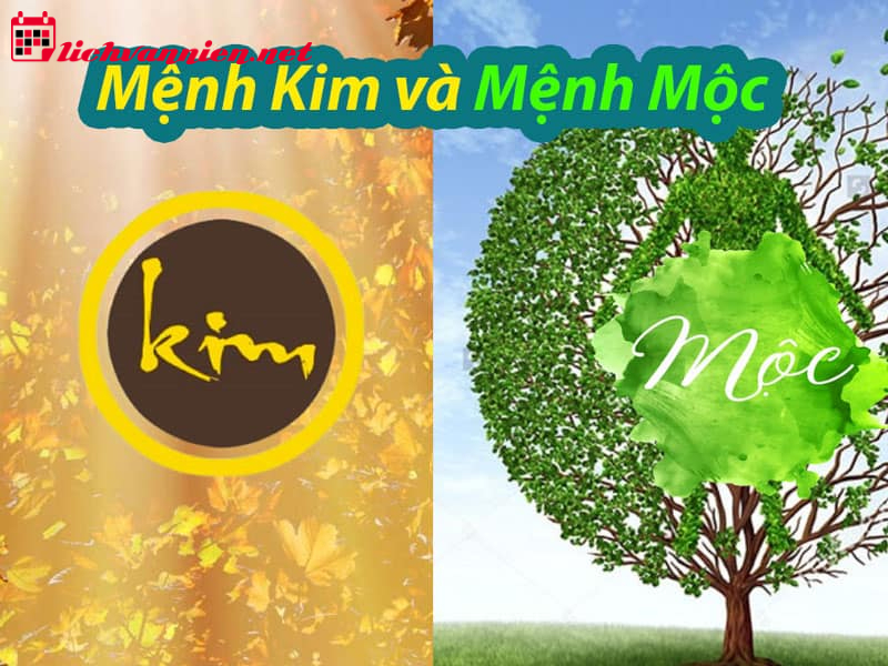 Kim Khắc Mộc: Hiểu Rõ Mối Quan Hệ Tương Khắc Trong Ngũ Hành