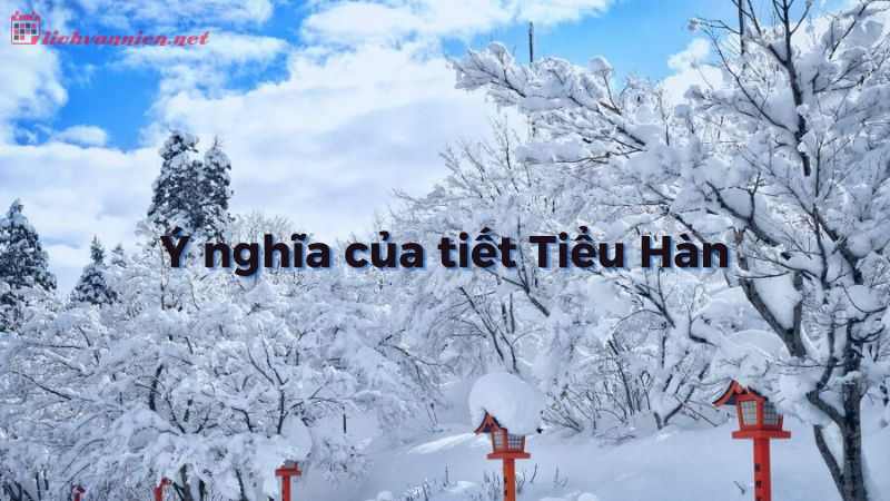 Tiết Tiểu Hàn Là Gì? Ý Nghĩa Tiết Tiểu Hàn