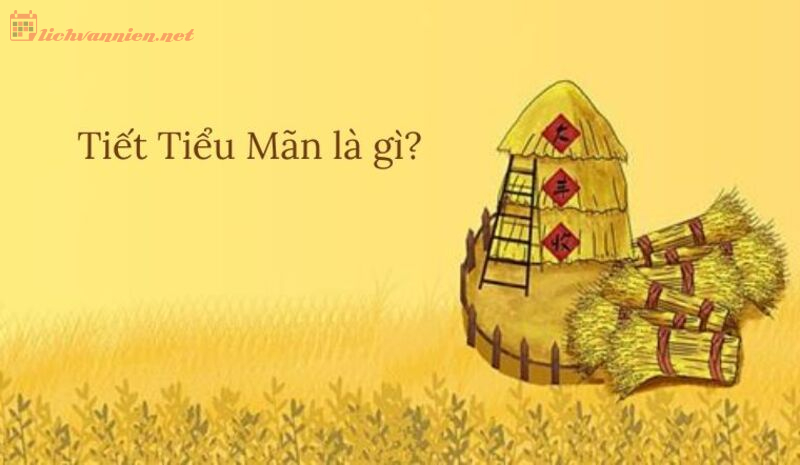 Tiết Tiểu Mãn Là Gì? Ý Nghĩa Tiết Tiểu Mãn